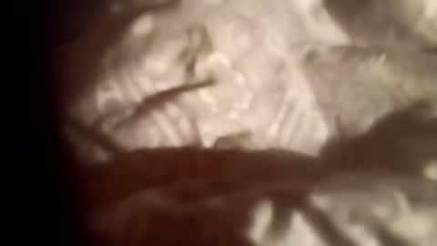 moos1 online show from February 28, 2026, 9:05 pm