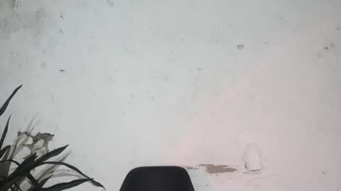 John john online show from February 24, 2025, 6:27 am