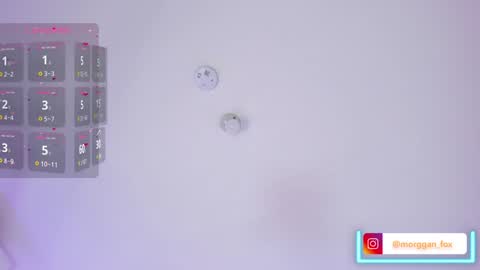 Morggan Castle online show from February 4, 2025, 8:24 am