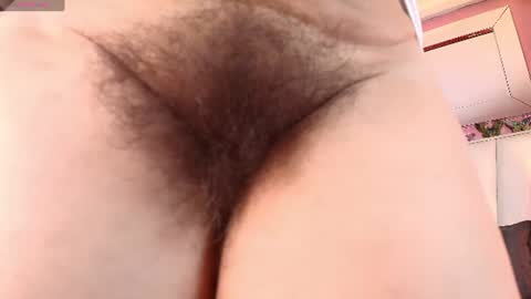 moxa hot online show from June 26, 2026, 4:22 pm