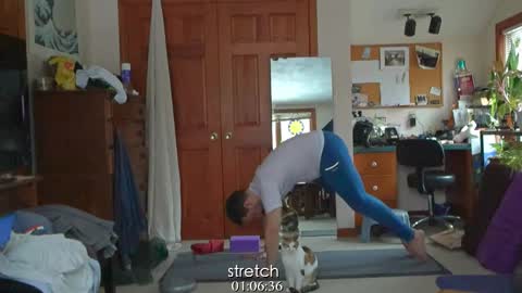 ninko online show from January 31, 2025, 5:42 pm