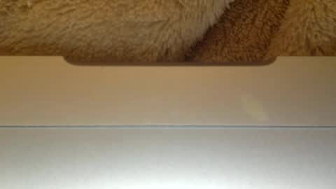 mr_himm online show from April 23, 2026, 12:56 am