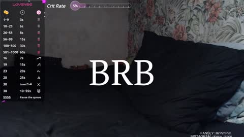 Snapshot of mr_pim_2_0 chatting on December 29, 2024, 2:52 pm Nikita ------------- online show from December 29, 2024, 2:52 pm