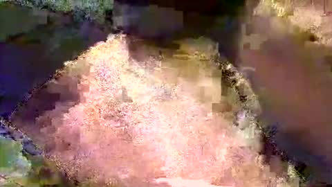Snapshot of mrboombastic6969 chatting on May 4, 2026, 7:54 pm Mr boom online show from May 4, 2026, 7:54 pm
