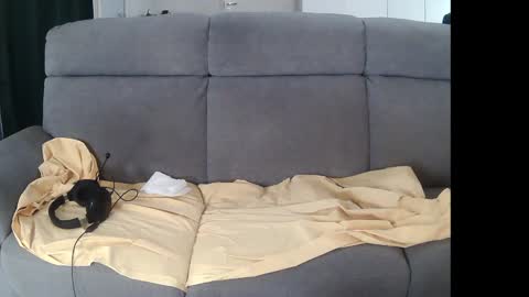 I am Hardy online show from December 5, 2024, 11:07 pm