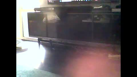 Nikola online show from January 10, 2025, 12:15 pm