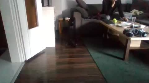 Nikola online show from February 17, 2025, 11:02 am