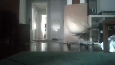 Nikola online show from February 4, 2026, 7:03 am