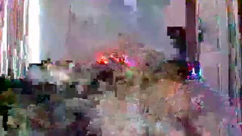 Snapshot of mrmountainman91 chatting on December 22, 2025, 5:54 pm mrmountainman91 online show from December 22, 2025, 5:54 pm