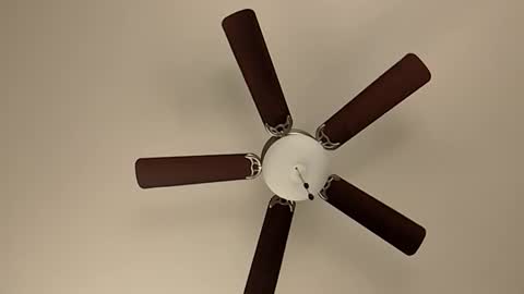 mrorange50187 online show from January 8, 2025, 5:48 pm