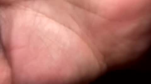 Snapshot of mrshawn95 chatting on December 16, 2025, 9:20 pm shawn online show from December 16, 2025, 9:20 pm