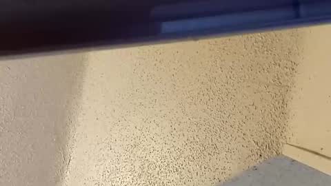 melissa online show from March 2, 2026, 7:32 pm