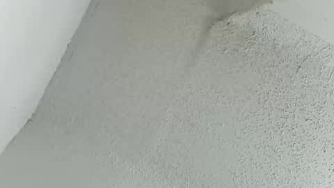 melissa online show from March 11, 2026, 12:16 am