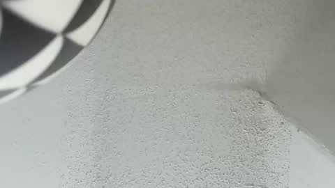 melissa online show from March 16, 2026, 5:44 am