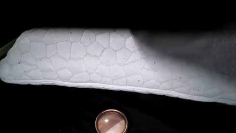 Snapshot of msmomy69 chatting on November 18, 2025, 2:43 pm msmomy69 online show from November 18, 2025, 2:43 pm