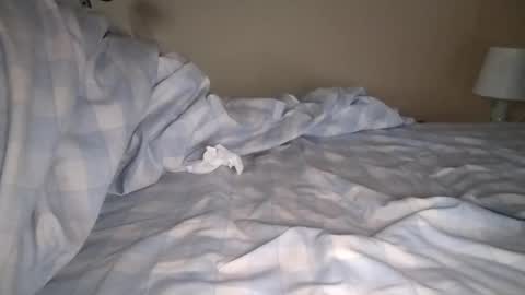 Snapshot of mulato44 chatting on January 6, 2025, 8:03 am Laly online show from January 6, 2025, 8:03 am