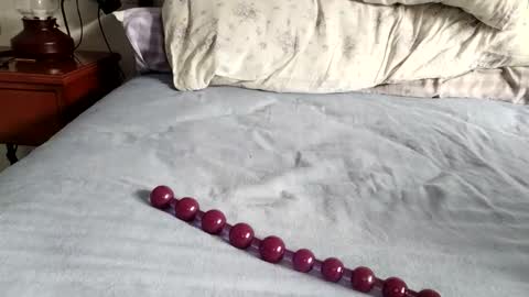 Snapshot of mulato44 chatting on November 24, 2025, 8:36 am Laly online show from November 24, 2025, 8:36 am