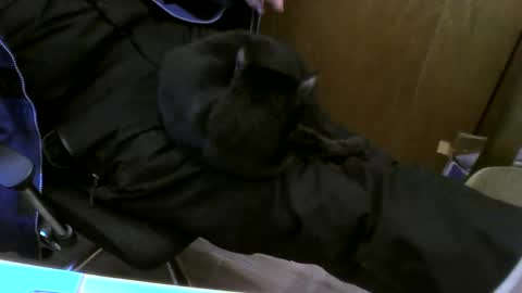 muller520 online show from February 26, 2025, 3:41 pm