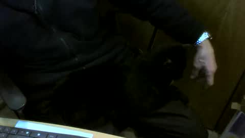 muller520 online show from February 10, 2026, 4:44 pm