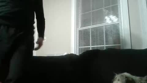 my_banana_creampies online show from February 15, 2026, 7:51 am