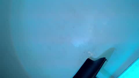 Snapshot of my_other_half chatting on February 8, 2025, 8:31 am Serena online show from February 8, 2025, 8:31 am