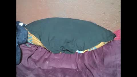 Snapshot of myaldiah chatting on February 17, 2025, 4:04 pm myaldiah online show from February 17, 2025, 4:04 pm