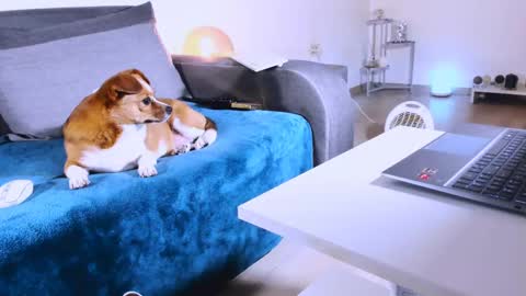 Anda online show from March 7, 2025, 1:20 am