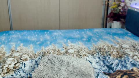 Snapshot of myrabelle24 chatting on March 5, 2025, 10:44 am Myrabelle24 online show from March 5, 2025, 10:44 am