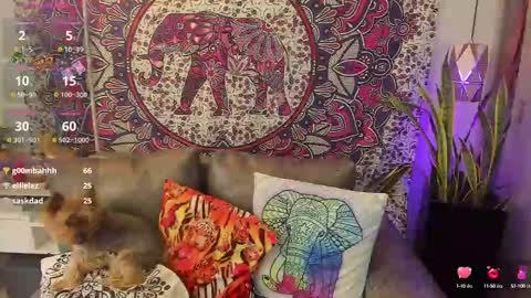 Snapshot of mysaris3 chatting on February 10, 2025, 8:21 pm S A R A online show from February 10, 2025, 8:21 pm