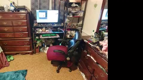 Snapshot of mysteryblue62 chatting on March 7, 2025, 3:29 am Mystery Blue and Mistress Prude online show from March 7, 2025, 3:29 am