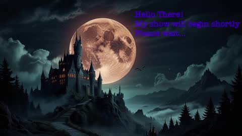 Snapshot of mysterymonkey1234 chatting on January 26, 2025, 10:13 pm MysteryMonkey online show from January 26, 2025, 10:13 pm