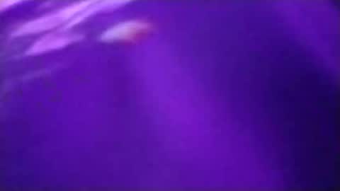 n298033 online show from September 23, 2025, 5:05 pm