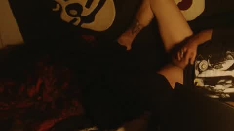 Snapshot of n33koblakk chatting on February 24, 2025, 6:47 pm n33koblakk online show from February 24, 2025, 6:47 pm