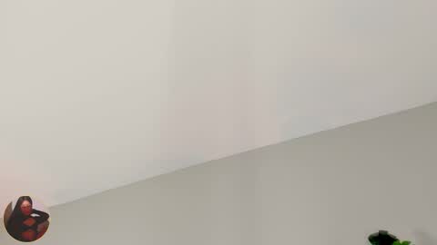 INSTAGRAM  m2221     online show from February 19, 2026, 10:00 am