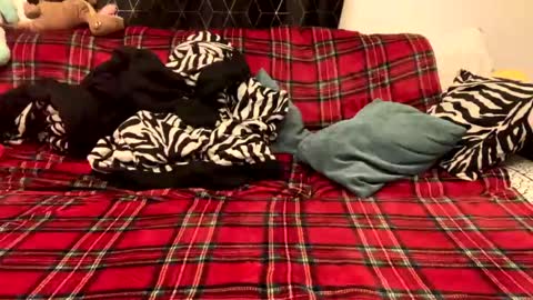 Snapshot of naked_for_fun chatting on December 15, 2024, 5:31 pm unable nkd life online show from December 15, 2024, 5:31 pm