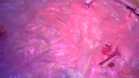 Snapshot of nakednate1780 chatting on December 23, 2024, 6:22 am nakednate1780 online show from December 23, 2024, 6:22 am