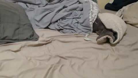 nalitonude online show from December 23, 2024, 12:03 am