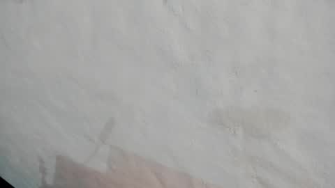 Snapshot of naoko_uwu chatting on December 28, 2024, 12:45 pm Naoko online show from December 28, 2024, 12:45 pm