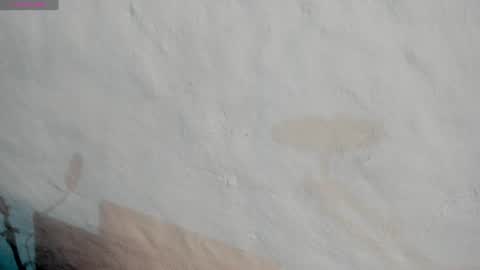 Snapshot of naoko_uwu chatting on January 6, 2025, 1:53 am Naoko online show from January 6, 2025, 1:53 am