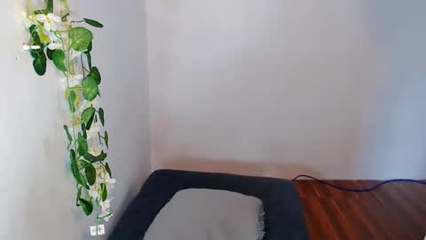 Snapshot of nashdiam chatting on November 30, 2025, 7:23 am nashdiam online show from November 30, 2025, 7:23 am