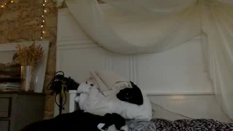 Snapshot of nastyloveparis chatting on March 12, 2026, 6:52 am nastyloveparis online show from March 12, 2026, 6:52 am