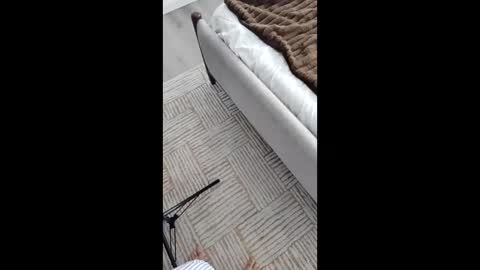 Snapshot of nastyluv143 chatting on November 17, 2025, 5:41 pm Asian Milf Show online show from November 17, 2025, 5:41 pm