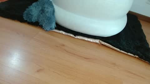 nath_dawson online show from January 28, 2025, 12:11 pm