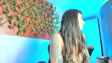 Kitten online show from April 6, 2026, 11:22 am