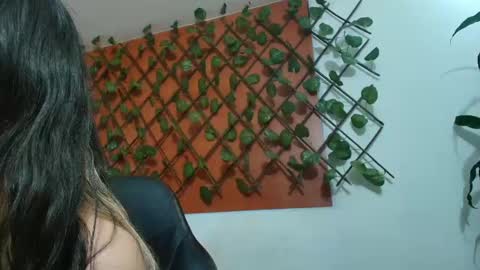 Kitten online show from April 15, 2026, 11:28 am