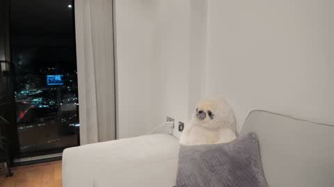 Snapshot of naughtynerdygirl chatting on January 16, 2025, 6:16 pm Gigi Chu online show from January 16, 2025, 6:16 pm