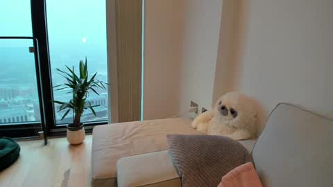 Snapshot of naughtynerdygirl chatting on February 15, 2025, 8:44 am Gigi Chu online show from February 15, 2025, 8:44 am