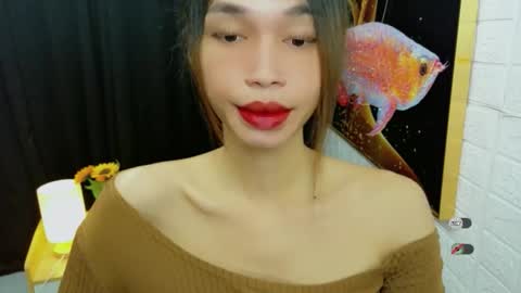 Celine online show from September 9, 2025, 11:59 pm