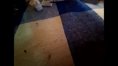 Snapshot of nembo1974 chatting on November 1, 2025, 10:23 pm boo online show from November 1, 2025, 10:23 pm