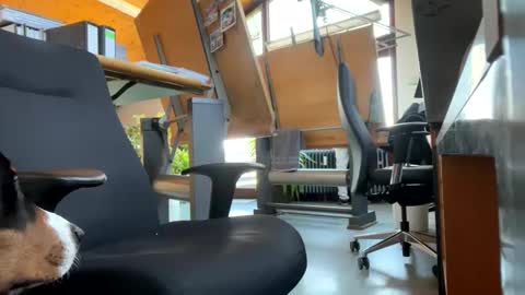 Snapshot of neneo21_ chatting on January 13, 2025, 9:19 am neneo21_ online show from January 13, 2025, 9:19 am